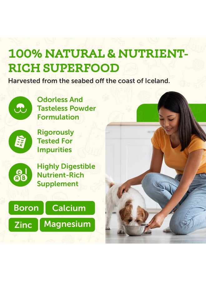 Animal Essentials Seaweed Calcium - Supplement for Dogs and Cats, High Digestibility, Pure Clean Icelandic Seaweed Calcium, Free of Lead and Hormones, Lab Tested, Magnesium - 12 Oz (Pack of 1) - Image 4