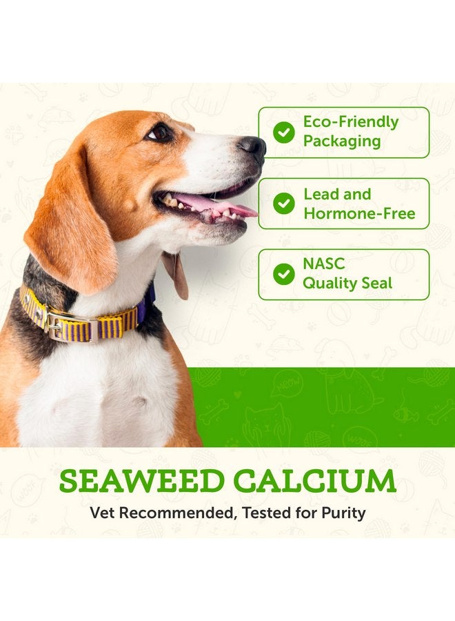 Animal Essentials Seaweed Calcium - Supplement for Dogs and Cats, High Digestibility, Pure Clean Icelandic Seaweed Calcium, Free of Lead and Hormones, Lab Tested, Magnesium - 12 Oz (Pack of 1) - Image 2