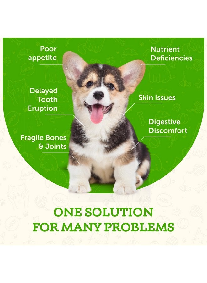 Animal Essentials Seaweed Calcium - Supplement for Dogs and Cats, High Digestibility, Pure Clean Icelandic Seaweed Calcium, Free of Lead and Hormones, Lab Tested, Magnesium - 12 Oz (Pack of 1) - Image 3