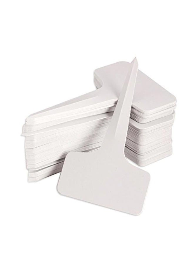 KINGLAKE 100 Pcs 6 x10cm Plastic Plant T-Type Tags Nursery Garden Labels - Image 1