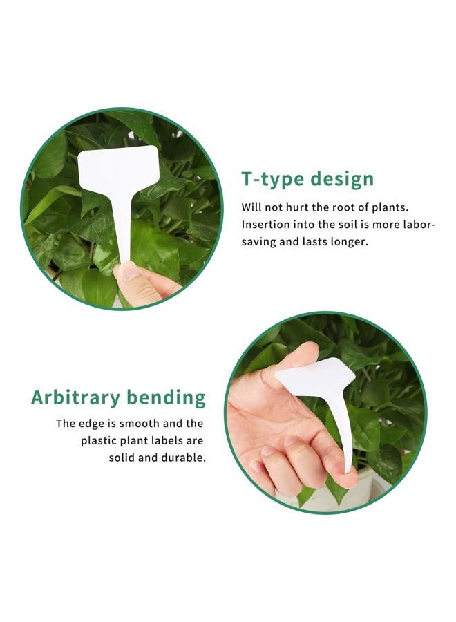 KINGLAKE 100 Pcs 6 x10cm Plastic Plant T-Type Tags Nursery Garden Labels - Image 3