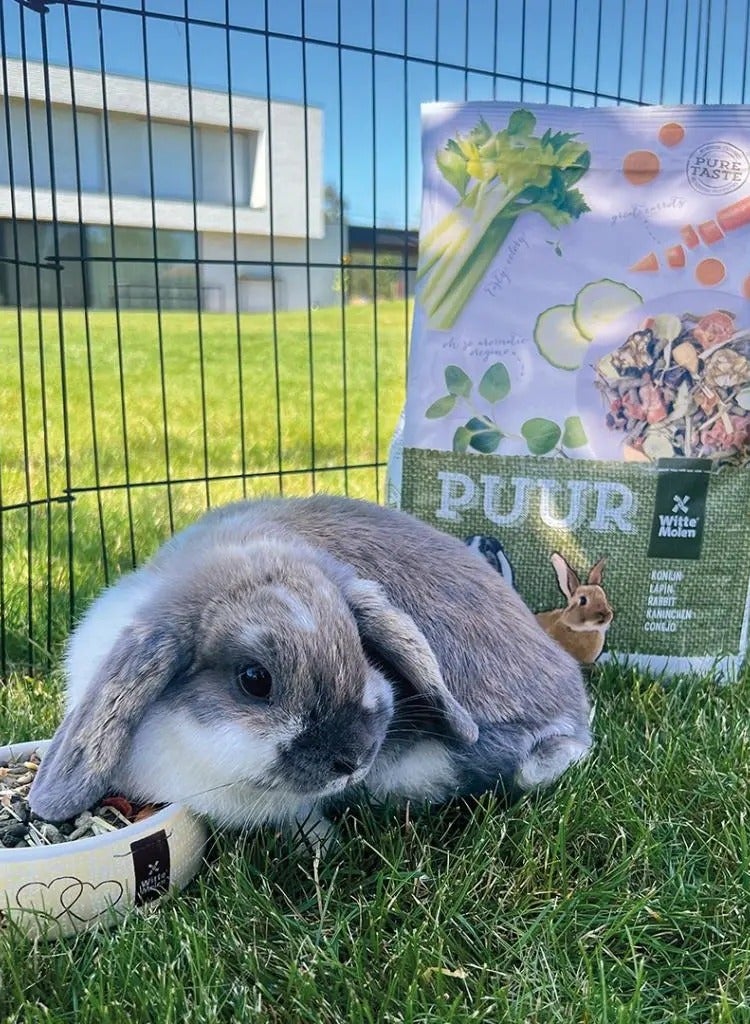 ويت مولين وزن أرنب بور - 2 كجم - Image 3