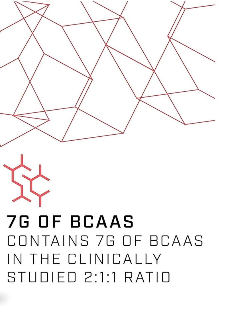 اسكتيند مسحوق إكستند BCAA - نكهة الفراولة والكيوي | ٣٠ حصة | ٧ غرامات من الأحماض الأمينية المتفرعة السلسلة | مشروب دعم رياضي خالٍ من السكر  - Image 5