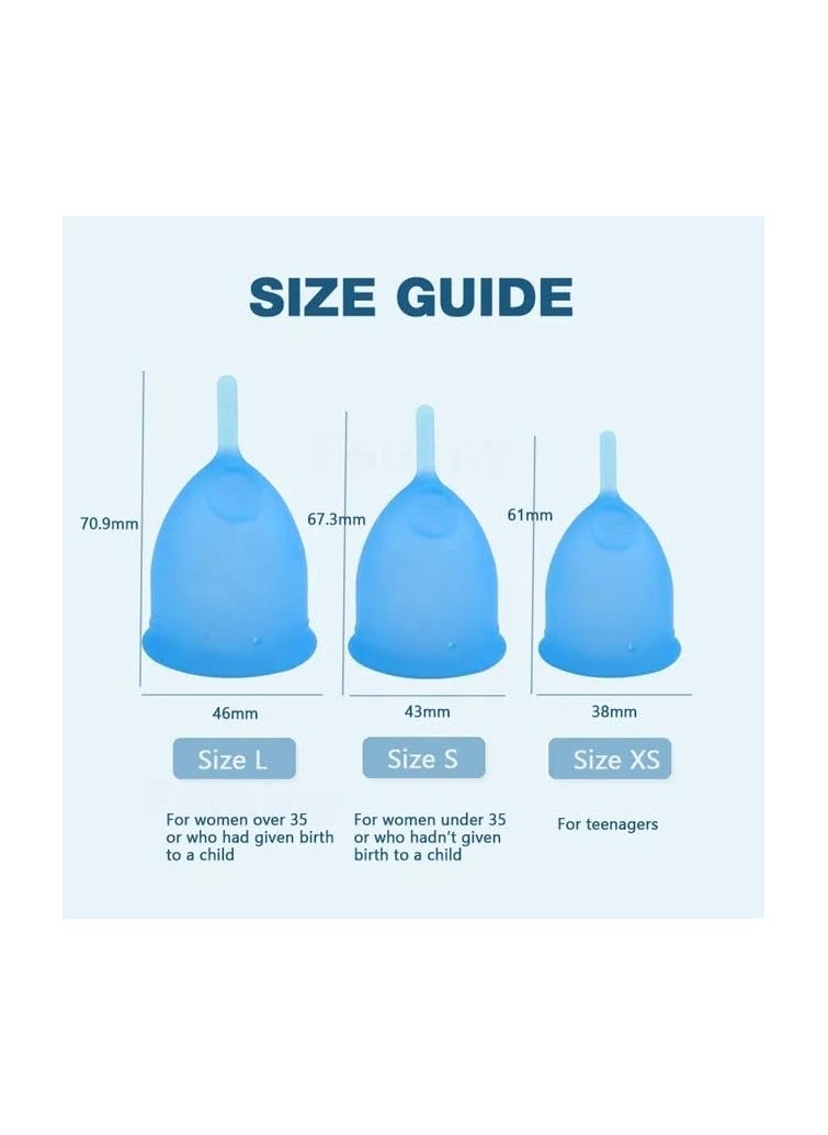 Feminy - Feminy Menstrual Cup with Silicone Sterilizer Cup Holder - Image 1