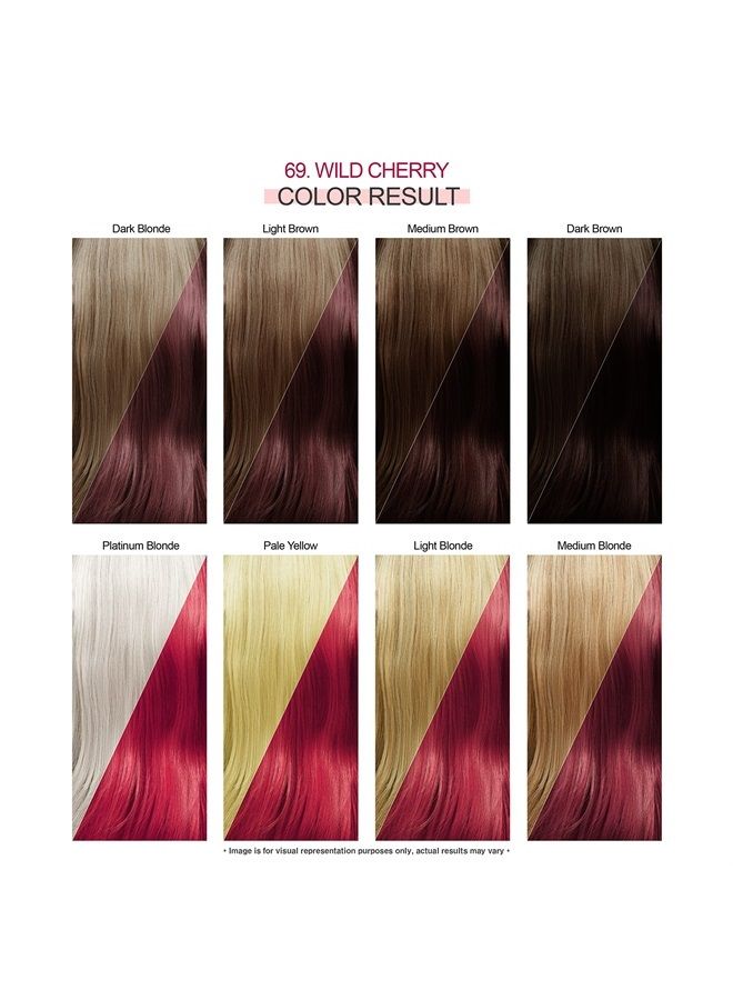 Adore Semi Permanent Hair Color - Vegan and Cruelty-Free Hair Dye - 4 Fl Oz - 069 Wild Cherry (Pack of 1) - Image 2