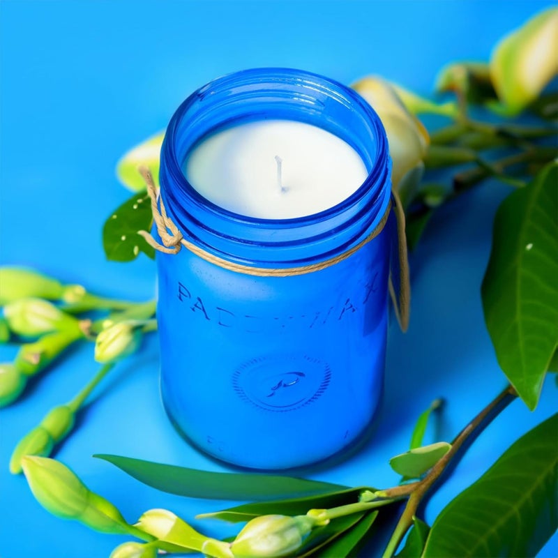 Paddywax Scented Candles Relish Collection Soy Wax Artisan Candle in Glass Jar with Lid, 9.5-Ounce, Gardenia + Tuberose - Image 2