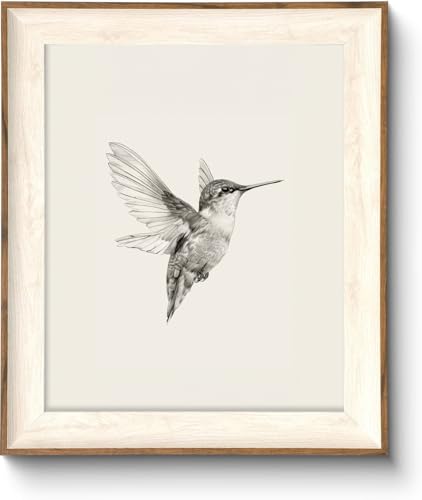 ASTRDECOR Hummingbird Wall Art Prints Vintage Black and White Bird Sketch Painting Picture Rustic Neutral Decor Canvas Wall Decor for Nursery Bedroom Living Room Framed 10x12 - Image 1
