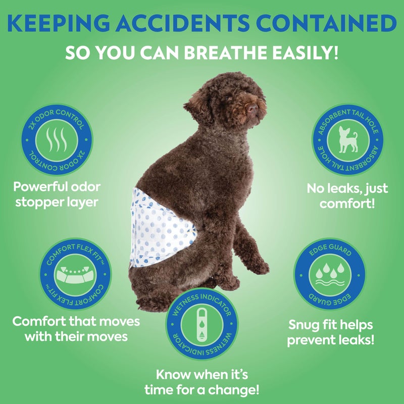 Out! PetCare Disposable Male Dog Wraps, Safe, Male Wraps for Dogs, Pee Wraps Belly Bands for Male Dogs, Leak Proof, Wetness Indicator, Puppy and Doggie Diaper for Peeing, For Small Pets, XS/S, 32 Ct - Image 2