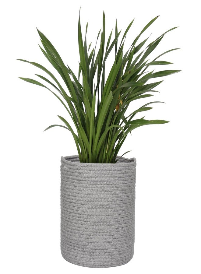MEGASKET Grey Plant Basket, Woven Planter for 10 inch Pot, Round Indoor Tree Pot Cover, Small Gray Storage Bin Organizer, Decorative Basket for Plants and Home Decor, 11'X11' - Image 1