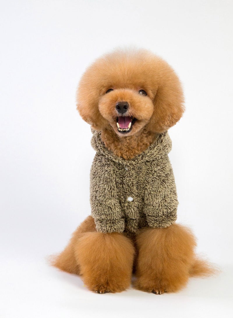 Loquat A pet dog wears a coat and a hat Brown  - Image 1
