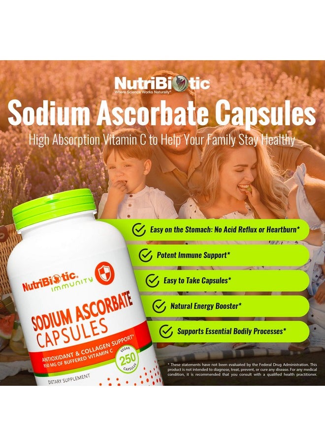 Nutribiotic - Sodium Ascorbate Buffered Vitamin C Capsules 250 Ct ; Vegan Nonacidic & Easier On Digestion Than Ascorbic Acid ; Essential Immune Support & Antioxidant Supplement ; Gluten & Gmo Free - Image 1