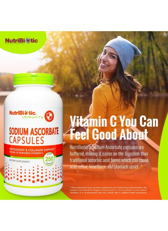 Nutribiotic - Sodium Ascorbate Buffered Vitamin C Capsules 250 Ct ; Vegan Nonacidic & Easier On Digestion Than Ascorbic Acid ; Essential Immune Support & Antioxidant Supplement ; Gluten & Gmo Free - Image 1