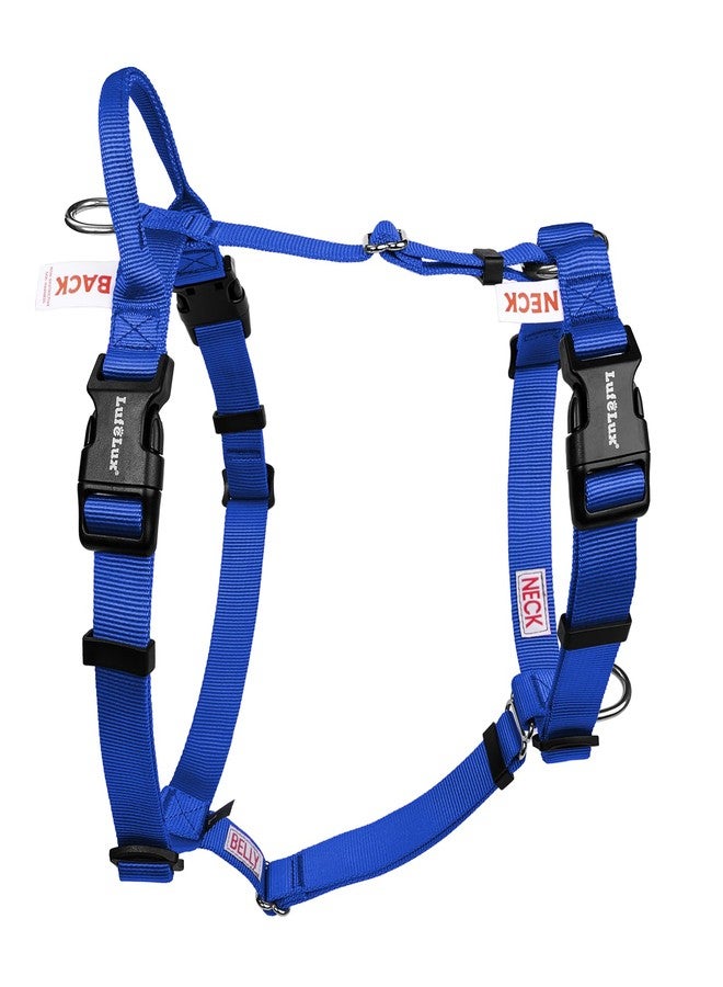 LufeLux Non Restrictive Dog Harness, Easy Walk Freedom No Pull Harness, Keep Balance, Lightweight, Neck Buckle, 2 Clips for Back/Front Clip, Sewn-in Instructions Labels for Easy Use (Blue, X-Small) - Image 1