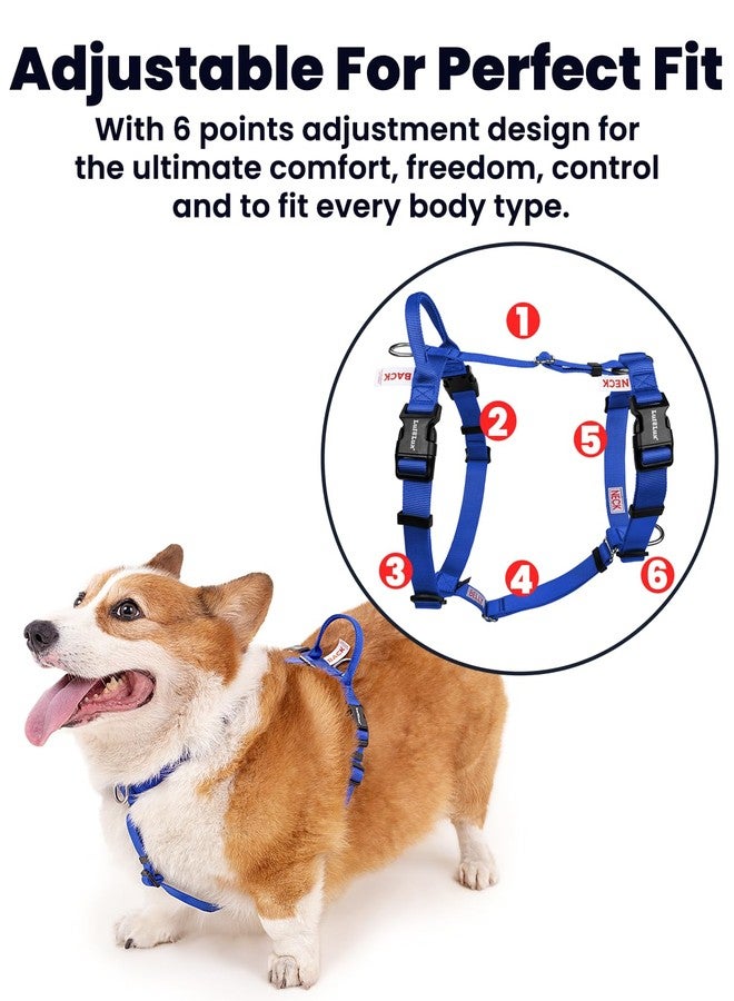 LufeLux Non Restrictive Dog Harness, Easy Walk Freedom No Pull Harness, Keep Balance, Lightweight, Neck Buckle, 2 Clips for Back/Front Clip, Sewn-in Instructions Labels for Easy Use (Blue, X-Small) - Image 2