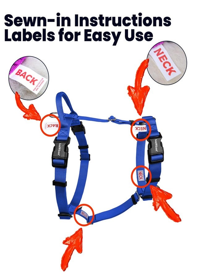 LufeLux Non Restrictive Dog Harness, Easy Walk Freedom No Pull Harness, Keep Balance, Lightweight, Neck Buckle, 2 Clips for Back/Front Clip, Sewn-in Instructions Labels for Easy Use (Blue, X-Small) - Image 4
