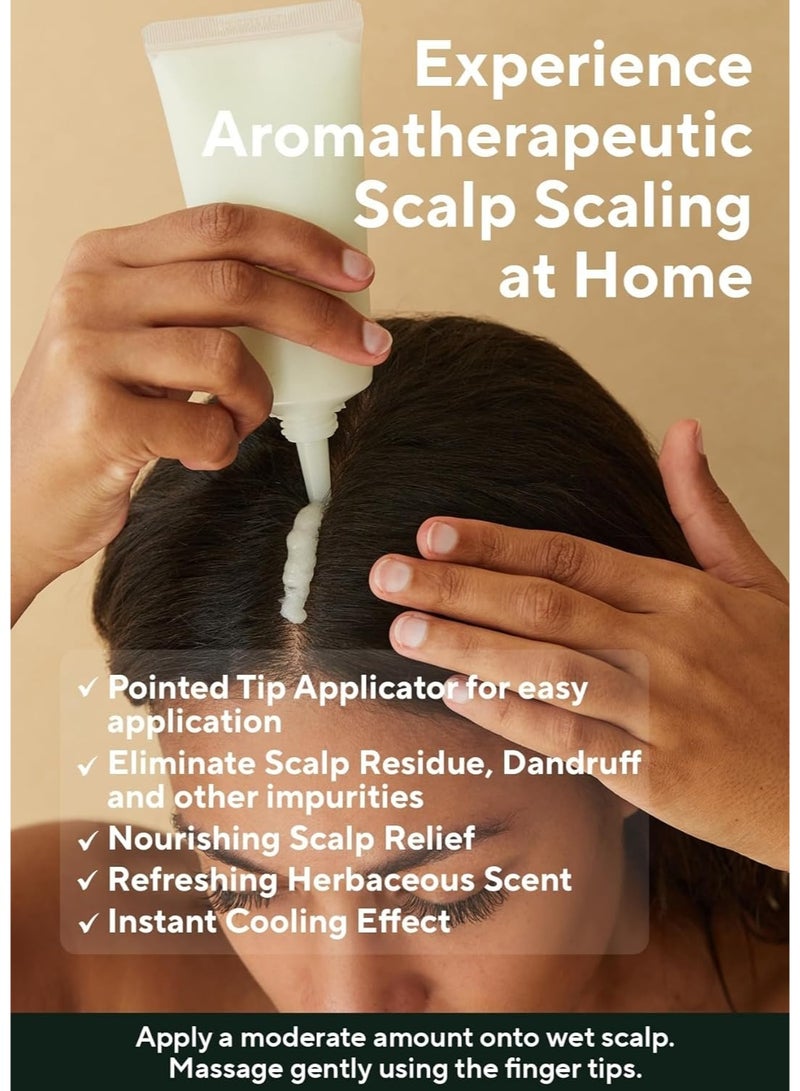 مقشر فروة الرأس بالروزماري من أروماتيكا، 165 غرام، علاج لفروة الرأس، مقشر لفروة الرأس مع ملح، مناسب لفروة الرأس الدهنية، يزيل القشرة والتراكمات. - Image 5