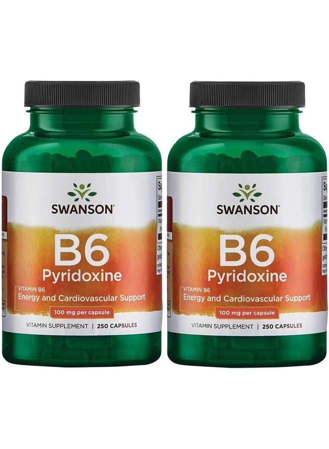 SWANSON B6 Pyridoxine Vitamin Supplement Promoting Cardiovascular Health & Energy Metabolism Natural Formula Promoting Overall Wellness (250 Capsules 100Mg Each) 2 Pack - Image 2