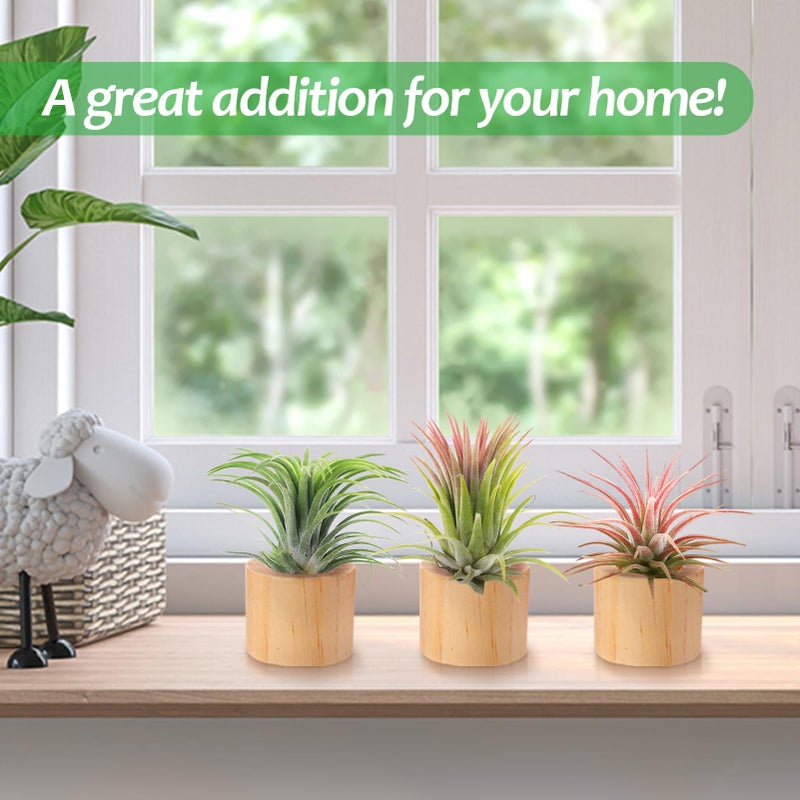 Bigmeta 3 Pcs Wood Air Plant Holder, 1.4" Rustic Style Airplant Display Stands for Women Gifts - Image 2