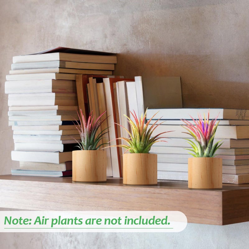 Bigmeta 3 Pcs Wood Air Plant Holder, 1.4" Rustic Style Airplant Display Stands for Women Gifts - Image 3