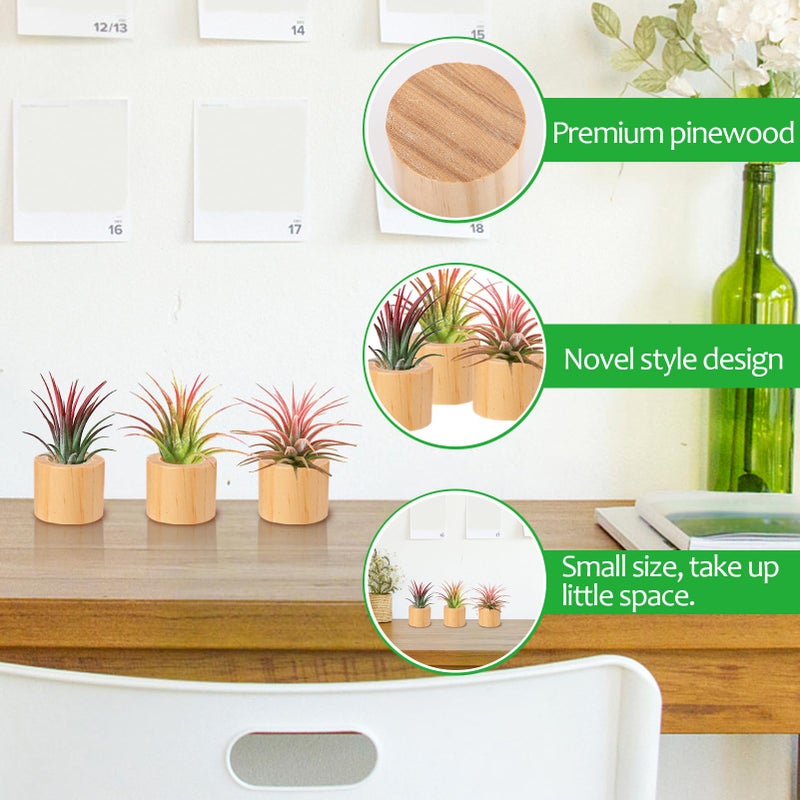 Bigmeta 3 Pcs Wood Air Plant Holder, 1.4" Rustic Style Airplant Display Stands for Women Gifts - Image 4