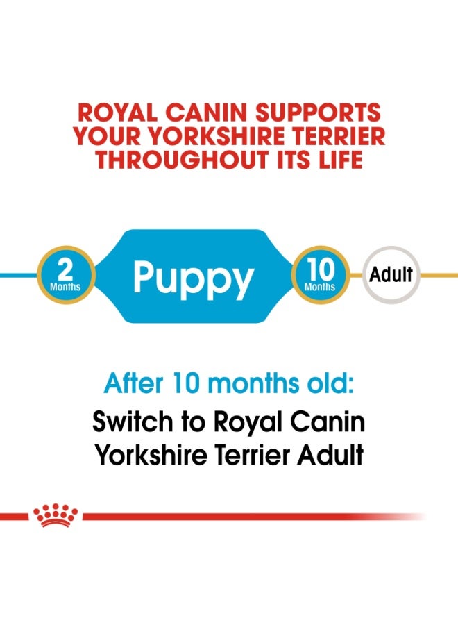 رويال كانين تغذية صحة السلالة لجرو يوركشاير 500 جرام - Image 2