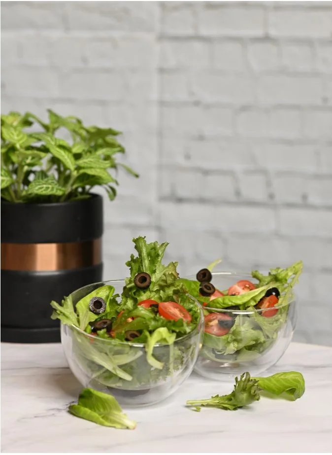 1Chase Double Wall Cereal Salad Bowl Set of 2 Clear 500ml