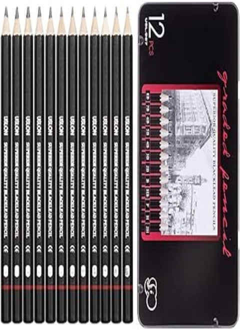 Briout USL.967 12 Count (Pack of 1) Professional Drawing Sketching Pencil Set - Pieces Art Pencils (8B 2H) Graphite Shading for Beginners & Pro Artists, Black