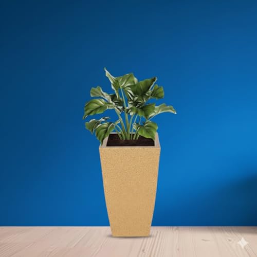 Leafy Tales Modern Roto Square Tower Planter for Home Décor 12 INCH, Highly Durable,Lightweight Indoor Outdoor Planter, Flower Pot Gamla - Image 1