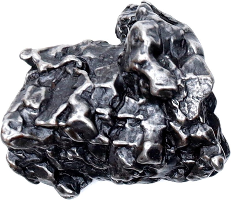 Dancing Bear Real Meteorite Extra Large (20-32g) Genuine Form Campo Del Cielo Argentina, Certificate of Authenticity, Display Case, ID Card, Space Rock, Assembled in The USA - Image 5