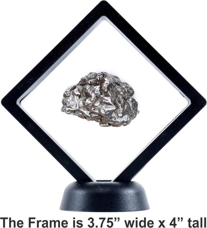 Dancing Bear Real Meteorite Extra Large (20-32g) Genuine Form Campo Del Cielo Argentina, Certificate of Authenticity, Display Case, ID Card, Space Rock, Assembled in The USA - Image 2