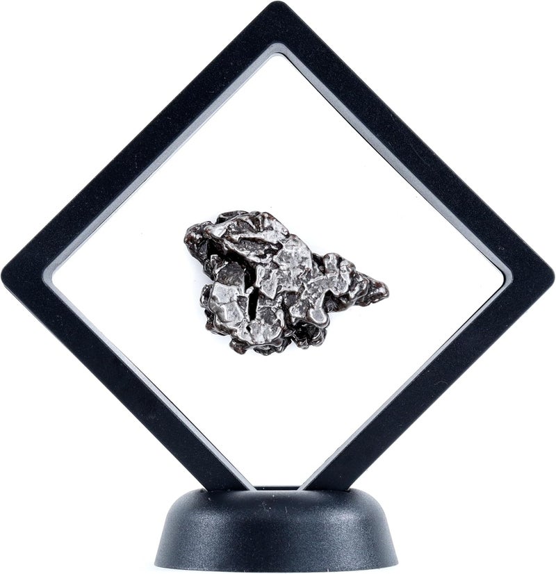 Dancing Bear Real Meteorite Extra Large (20-32g) Genuine Form Campo Del Cielo Argentina, Certificate of Authenticity, Display Case, ID Card, Space Rock, Assembled in The USA - Image 3