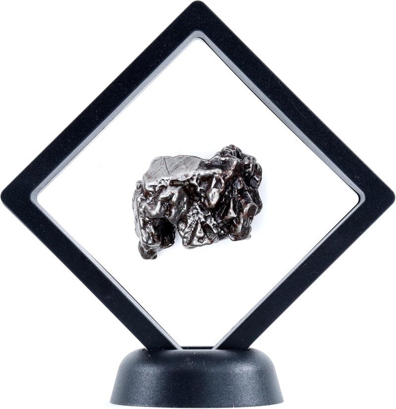 Dancing Bear Real Meteorite Extra Large (20-32g) Genuine Form Campo Del Cielo Argentina, Certificate of Authenticity, Display Case, ID Card, Space Rock, Assembled in The USA - Image 4