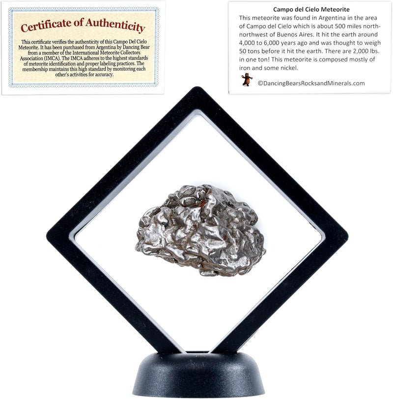 Dancing Bear Real Meteorite Extra Large (20-32g) Genuine Form Campo Del Cielo Argentina, Certificate of Authenticity, Display Case, ID Card, Space Rock, Assembled in The USA - Image 1
