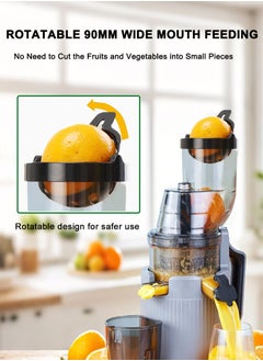 OTTAL High-Performance Electric Juicer for Fruits and Vegetables | 200 Watts with Large 3.55 inch Caliber for Maximum Juice Yield  - Image 4