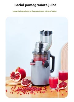 High-Performance Electric Juicer for Fruits and Vegetables | 200 Watts with Large 3.55 inch Caliber for Maximum Juice Yield - pzsku/Z434F106CCF1FD289D9F5Z/45/_/1739541379/ec2724a9-9cb7-479f-9a60-5bf5c39b3f04