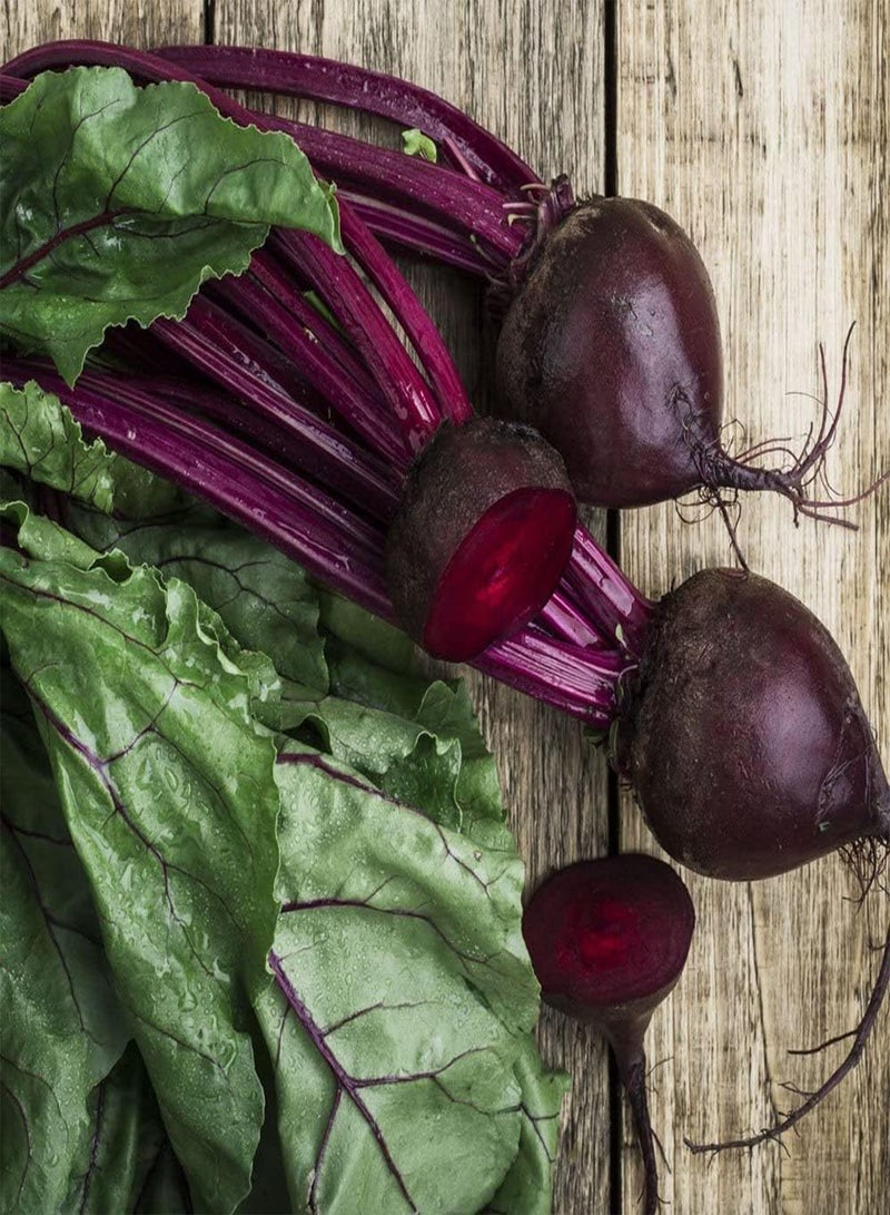 GGOOT 100pcs Beet Seeds Planted in Greenhouse Throughout The Year Don't Need Much Care Suitable for Beginners and Novice Gardeners - Image 2