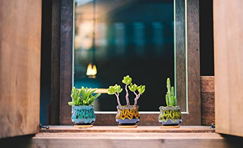 LamDawn Cute Ceramic Succulent Garden Pots, Planter with Drainage and Attached Saucer, Set of 5 -Plants Not Included (Fambe) - Image 2