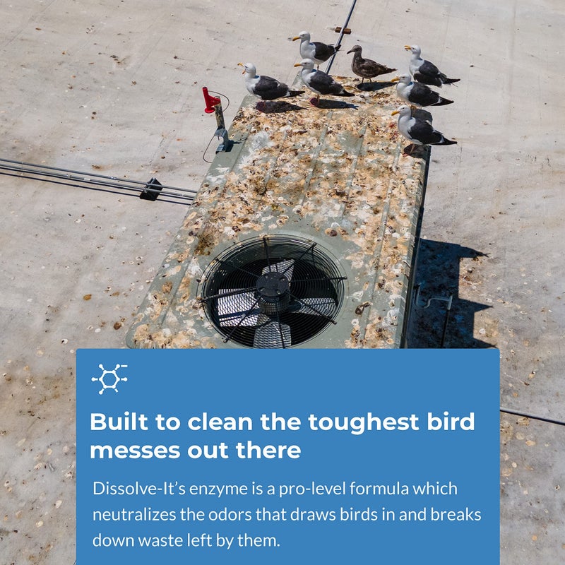 Bird Barrier منظف إنزيم ديسولف إت ماكس لحواجز الطيور - منظف فضلات الطيور - يذوب النفايات - يعالج المناطق المتأثرة قبل تركيب منتجات التحكم في الطيور - ينظف بقع الحيوانات الأليفة - 1 باينت يصنع 1/2 جالون - Image 2