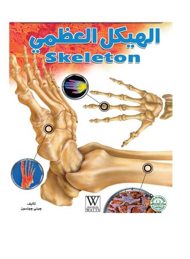 The skeleton (under the microscope) 