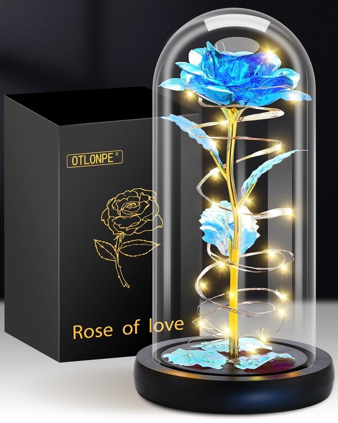 ROSE FLOWER MOTHERS DAY MOM GIFTS FROM DAUGHTER SON BIRTHDAY GIFTS FOR WOMEN GRANDMA WIFE GIRLFRIEND SISTER HER GIFTS FOR TEACHER APPRECIATION GRADUATION ANNIVERSARY CHRISTMAS VALENTINES