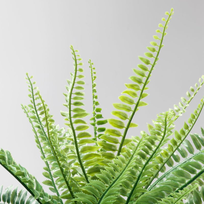 FEJKA Artificial Potted Fern Plant, Green, 9 cm Pot, 34 cm Height - Image 5