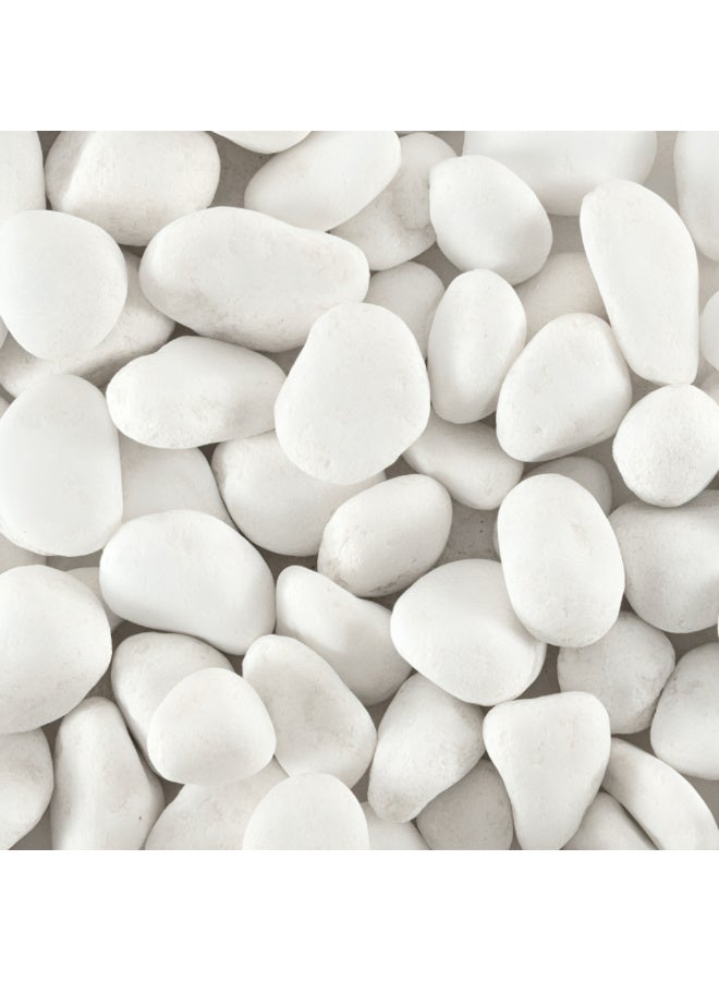 أرابيكو 2.5 رطل من صخور النهر الأبيض الكبيرة (3-7 سم) - أحجار زخرفية طبيعية ناعمة للنباتات، وتنسيق الحدائق، والمزهريات، وأحواض السمك، والحرف اليدوية، وديكور المنزل - Image 1