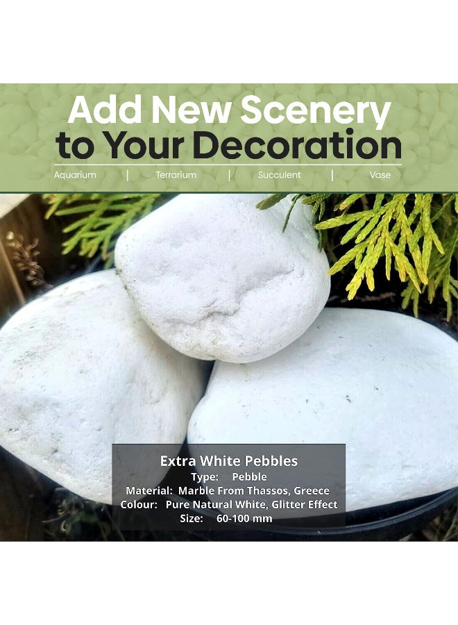 أرابيكو 2.5 رطل من صخور النهر الأبيض الكبيرة (3-7 سم) - أحجار زخرفية طبيعية ناعمة للنباتات، وتنسيق الحدائق، والمزهريات، وأحواض السمك، والحرف اليدوية، وديكور المنزل - Image 4