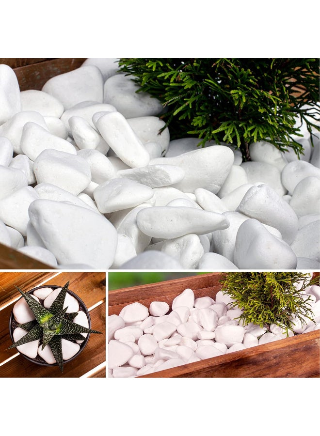 أرابيكو 2.5 رطل من صخور النهر الأبيض الكبيرة (3-7 سم) - أحجار زخرفية طبيعية ناعمة للنباتات، وتنسيق الحدائق، والمزهريات، وأحواض السمك، والحرف اليدوية، وديكور المنزل - Image 5