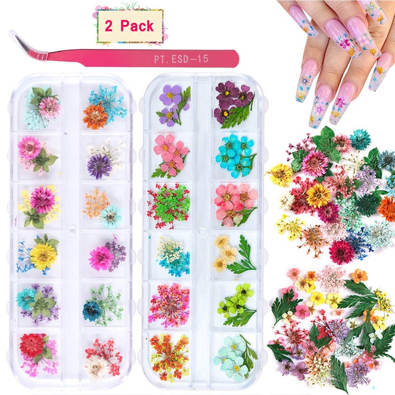 Kissbuty 2 Boxes Dried Flowers for Nail Art, KISSBUTY 24 Colors Dry Flowers Mini Real Natural Flowers Nail Art Supplies 3D Applique Nail Decoration Sticker for Tips Manicure Decor (Gypsophila Flowers Leaves)