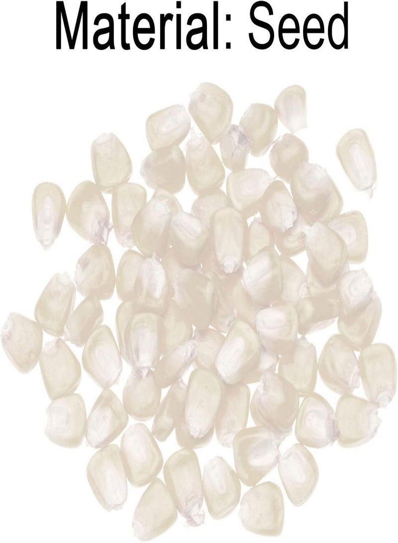 GGOOT 200Pcs/Bag Corn Seeds Sweet Rich Vitamins White Non-GMO Grains Seeds for Home Garden Seeds Sweet for Agriculture - Image 3