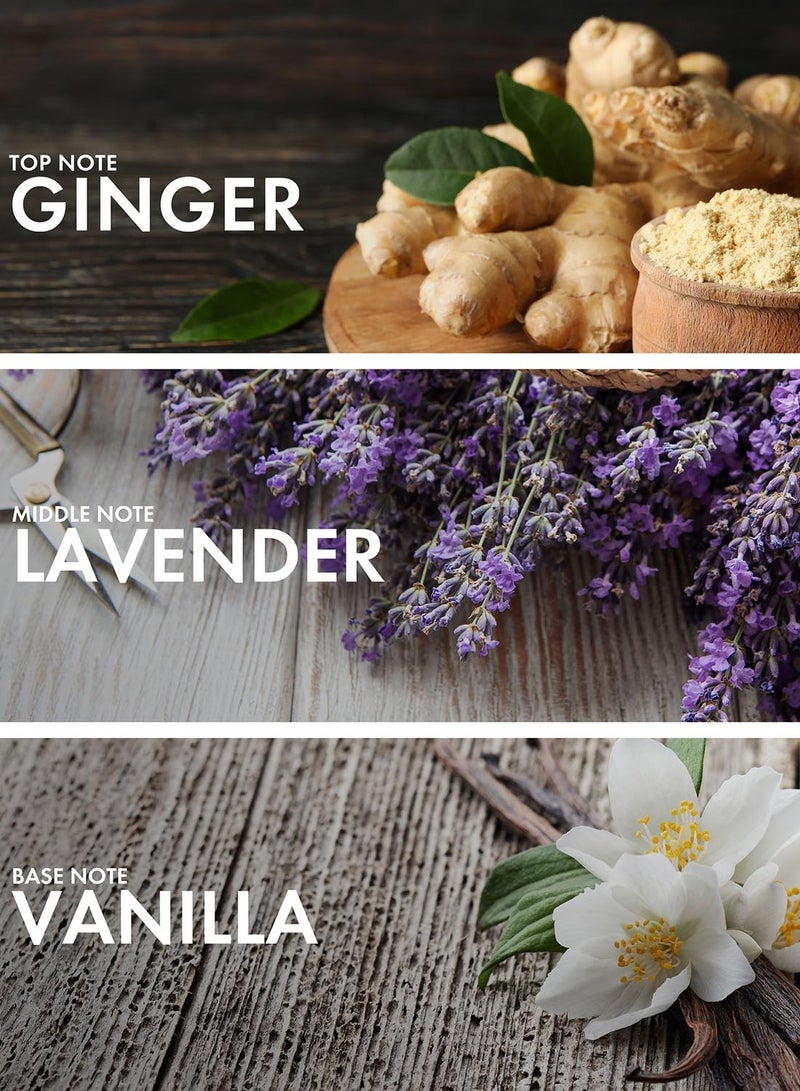 Craftier Perfume Ginger Orange - Inspired by Stronger With You Freeze - Image 2