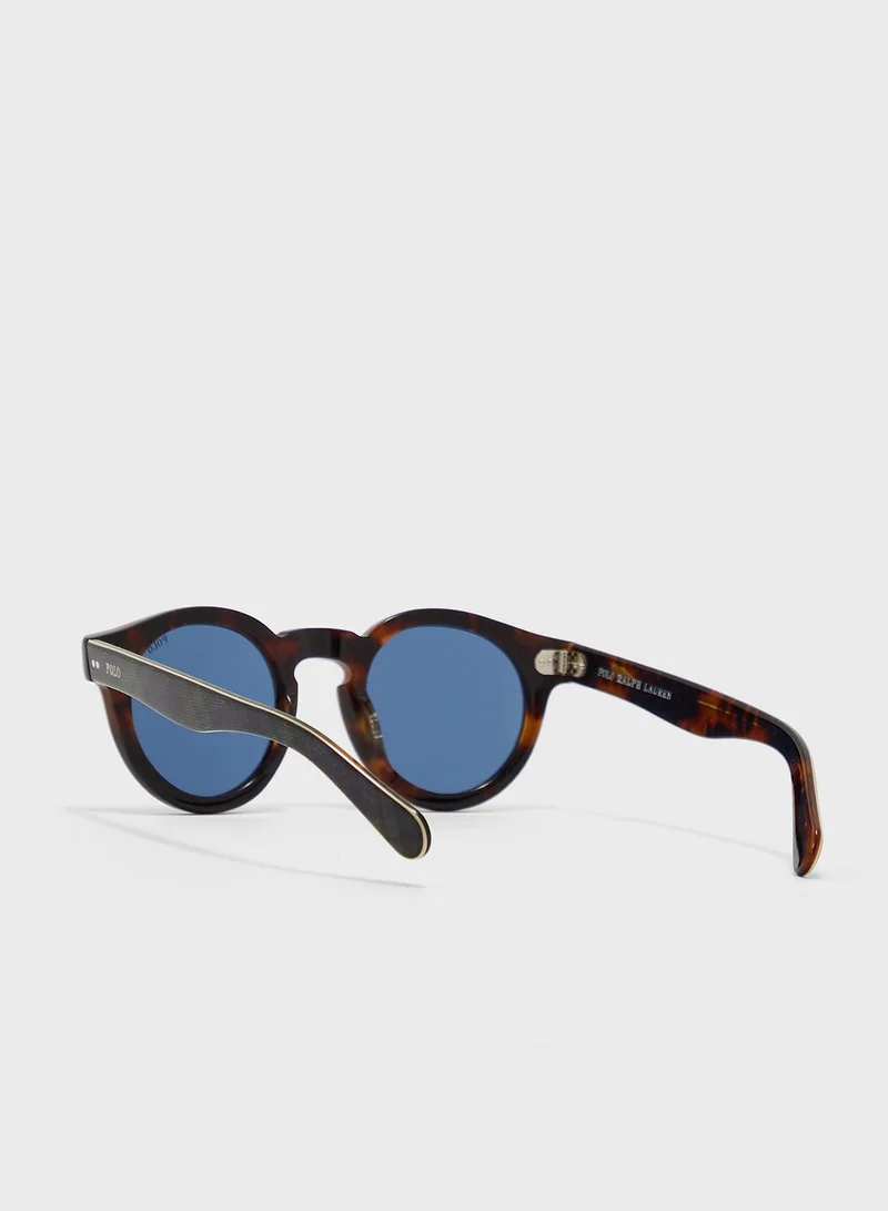 POLO RALPH LAUREN 0Ph4165 Round Sunglasses