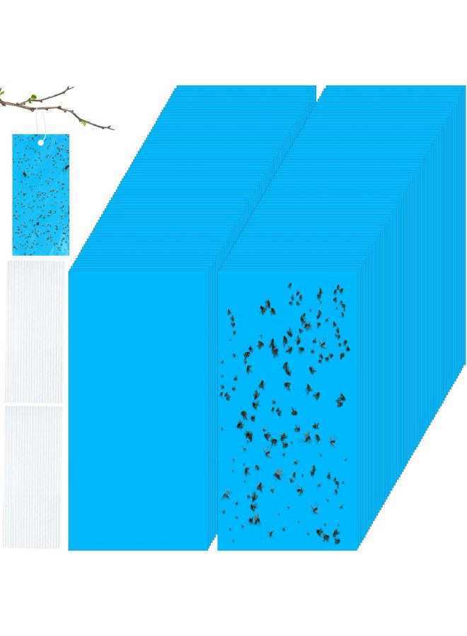 Sticky Insect Traps, Insect Attractants, Double-sided Yellow And Blue Sticky Traps - Image 3