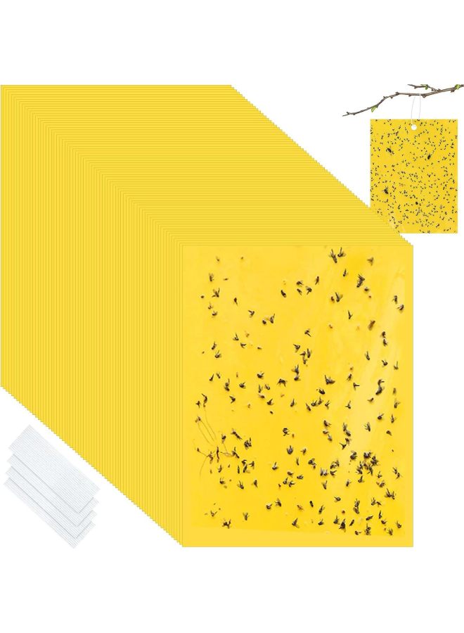 Sticky Insect Traps, Insect Attractants, Double-sided Yellow And Blue Sticky Traps - Image 1